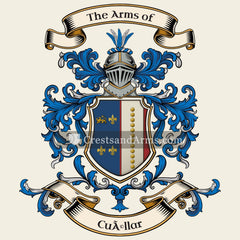 The arms
