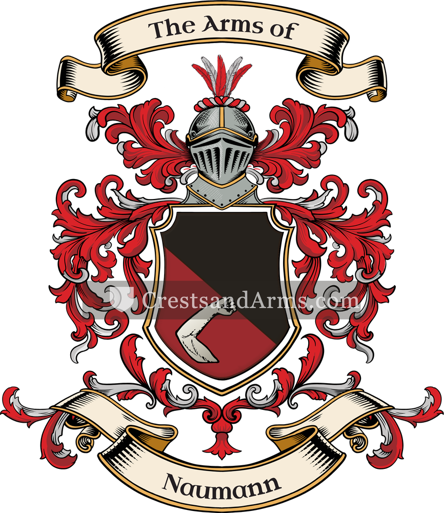 The Naumann coat of arms, drawn from the recorded blazon