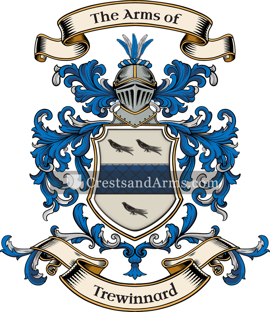 The Trewinnard coat of arms, drawn from the recorded blazon