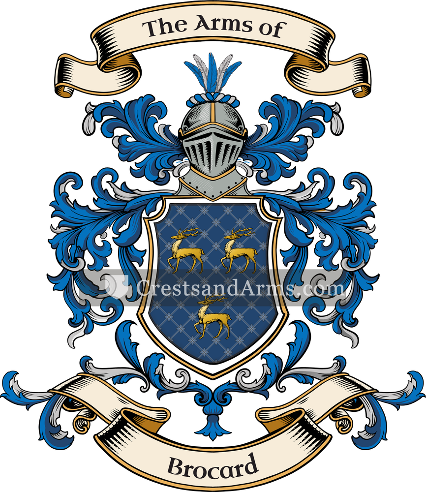 The Brocard coat of arms, drawn from the recorded blazon