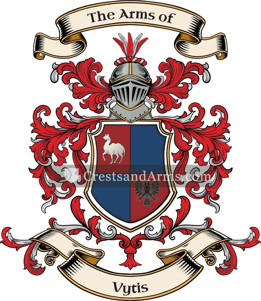 The Vytis coat of arms, drawn from the recorded blazon