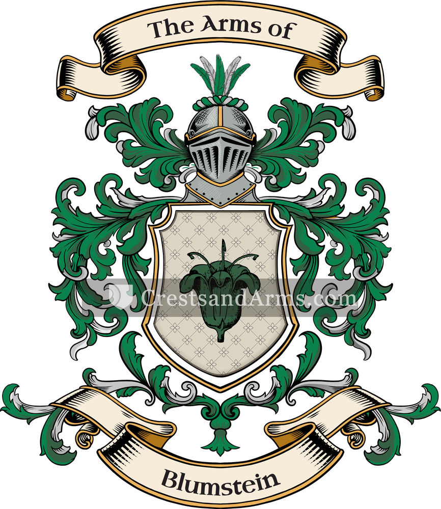 The Blumstein coat of arms, drawn from the recorded blazon