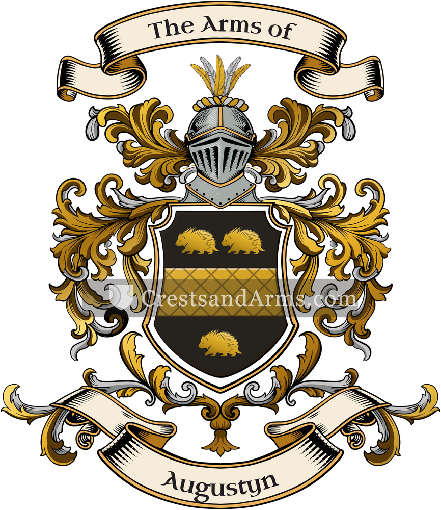 The Augustyn coat of arms, drawn from the recorded blazon