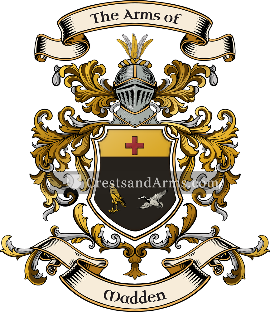 The Madden coat of arms, drawn from the recorded blazon