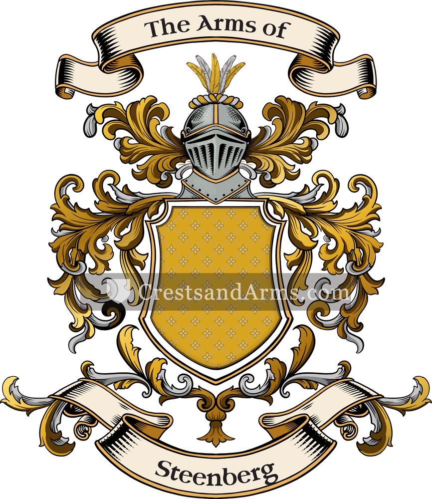 The Steenberg coat of arms, drawn from the recorded blazon