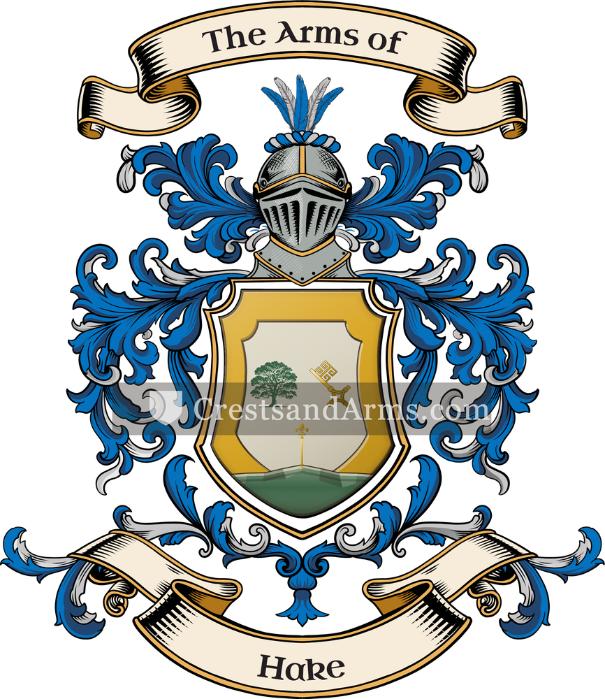 The Hake coat of arms, drawn from the recorded blazon