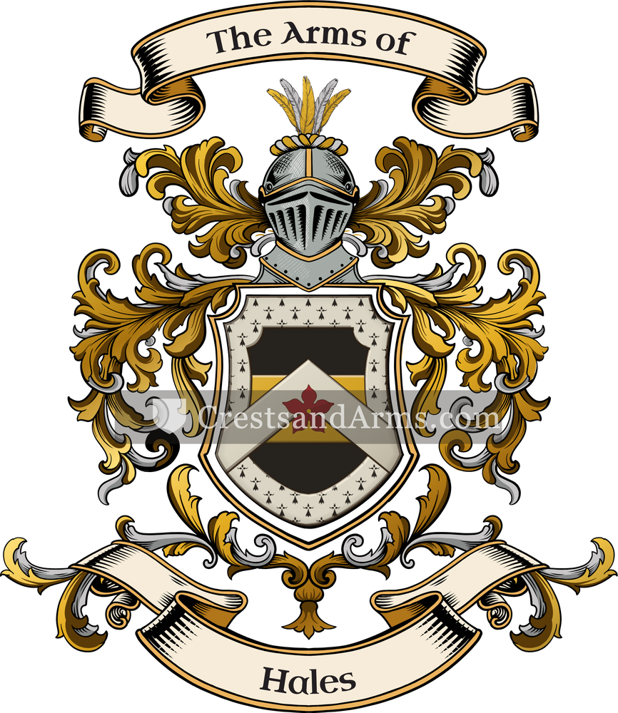 The Hales coat of arms, drawn from the recorded blazon