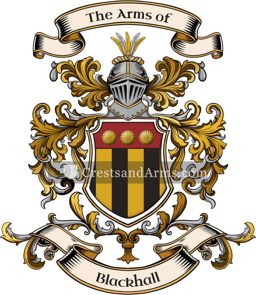 The Blackhall coat of arms, drawn from the recorded blazon