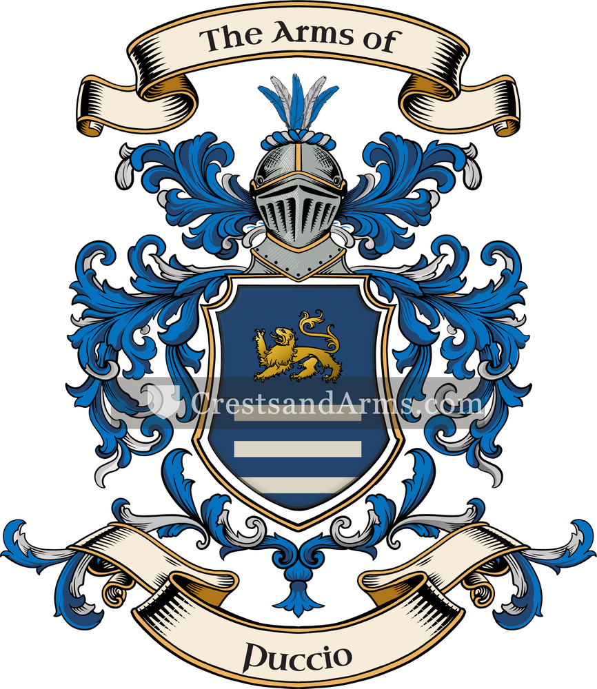 The Puccio coat of arms, drawn from the recorded blazon