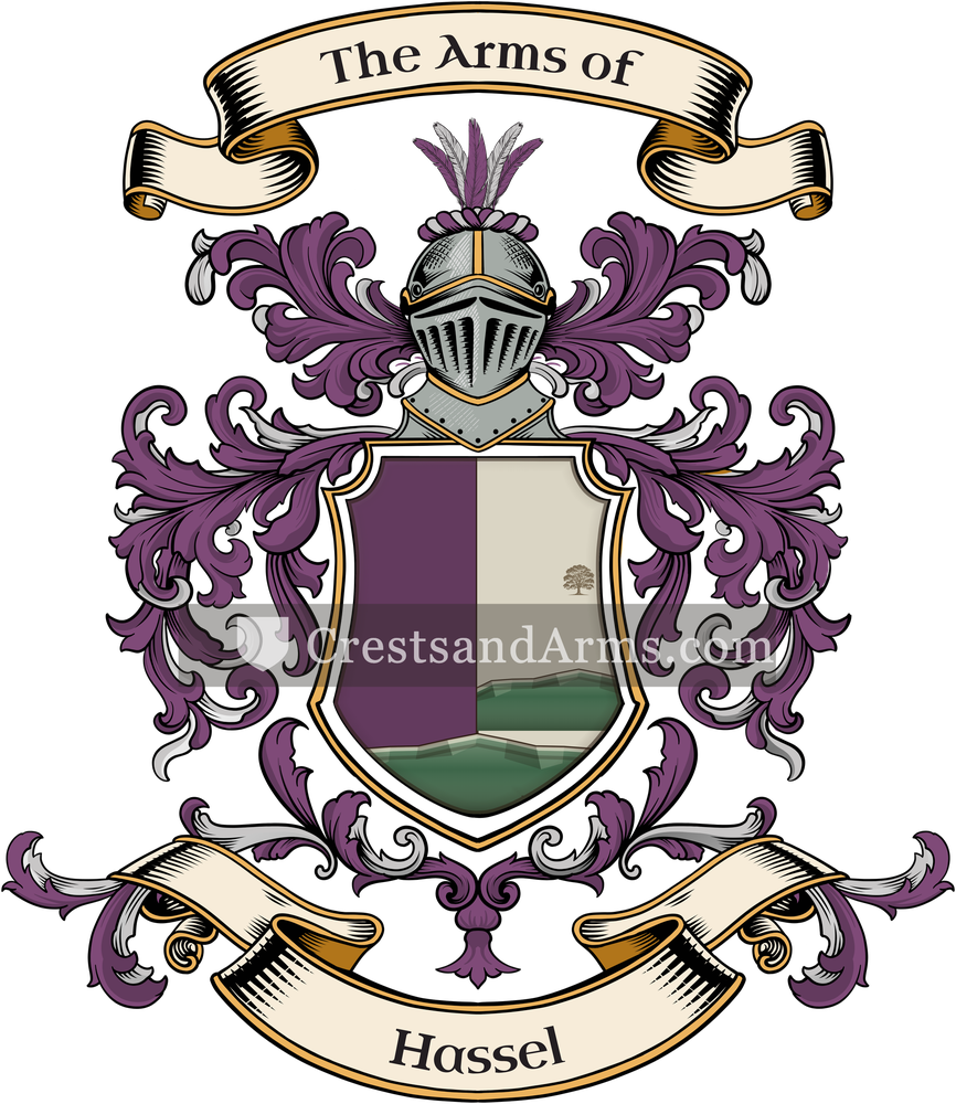 The Hassel coat of arms, drawn from the recorded blazon