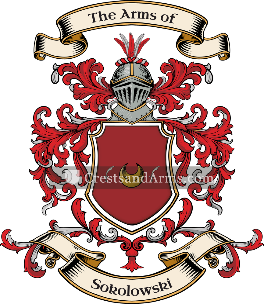 The Sokolowski coat of arms, drawn from the recorded blazon