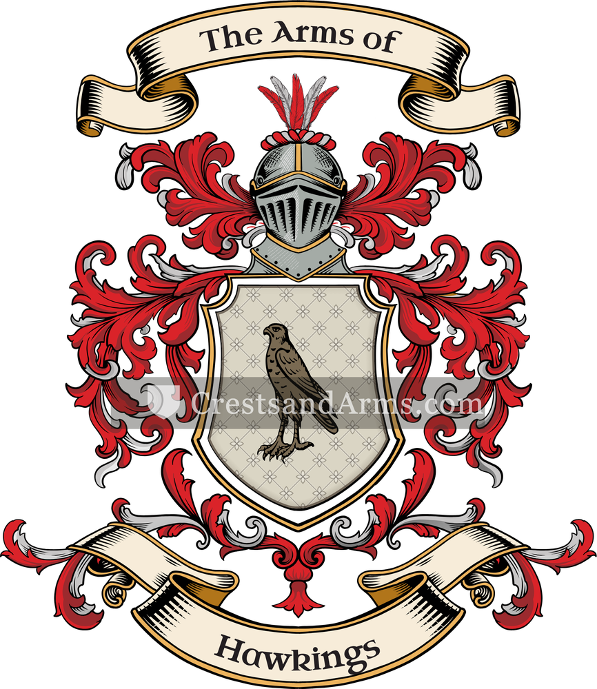 The Hawkings coat of arms, drawn from the recorded blazon