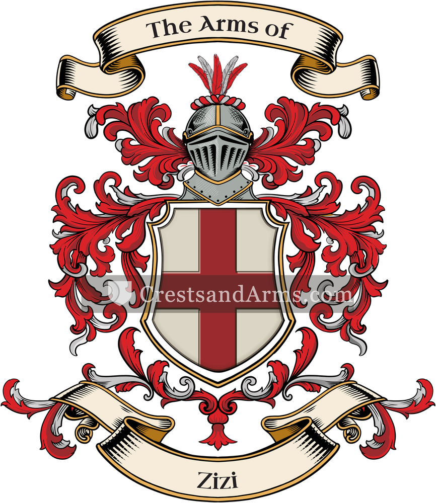 The Zizi coat of arms, drawn from the recorded blazon