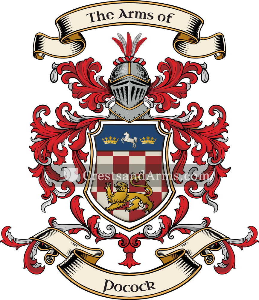 The Pocock coat of arms, drawn from the recorded blazon
