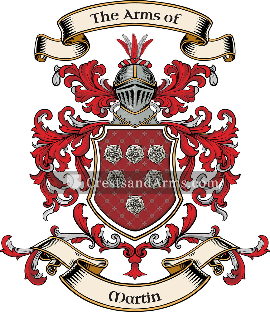 The Martin coat of arms, drawn from the recorded blazon