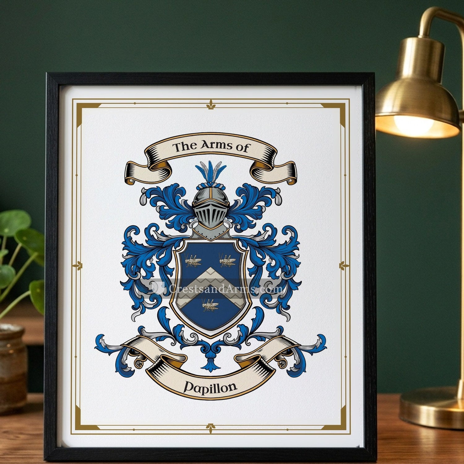 Papillon · England